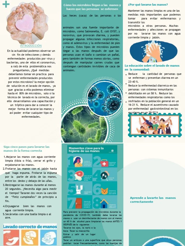 Triptico De Lavado De Manos 6 | PDF | Lavado De Manos | Diarrea