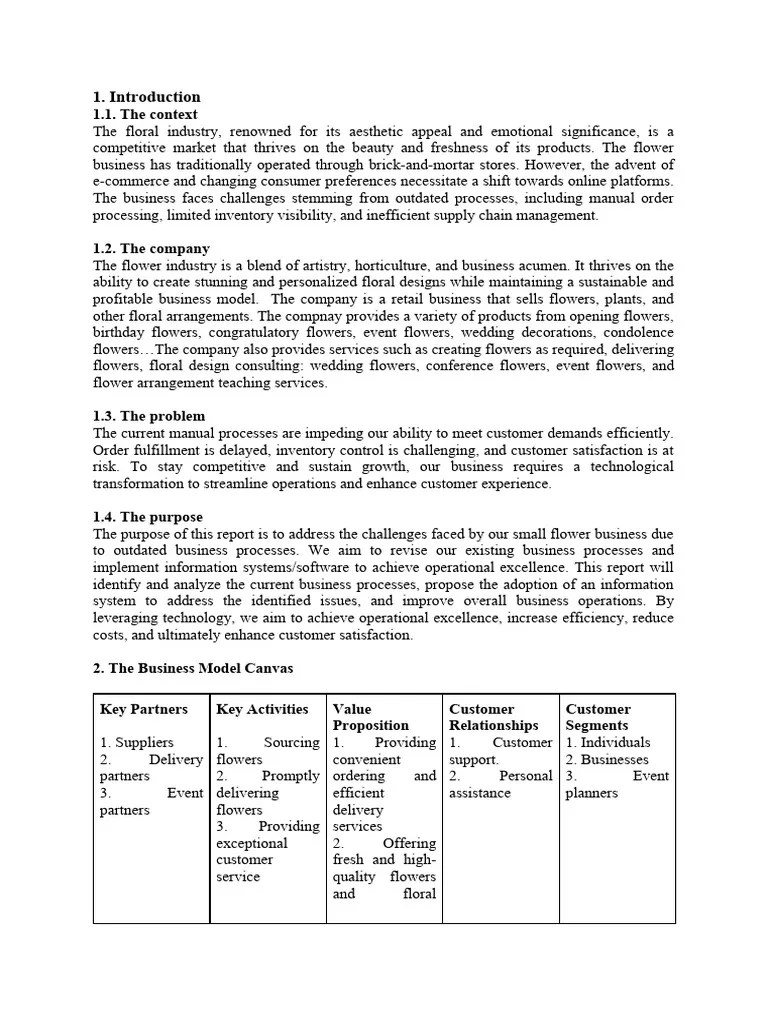 Management Information System | PDF