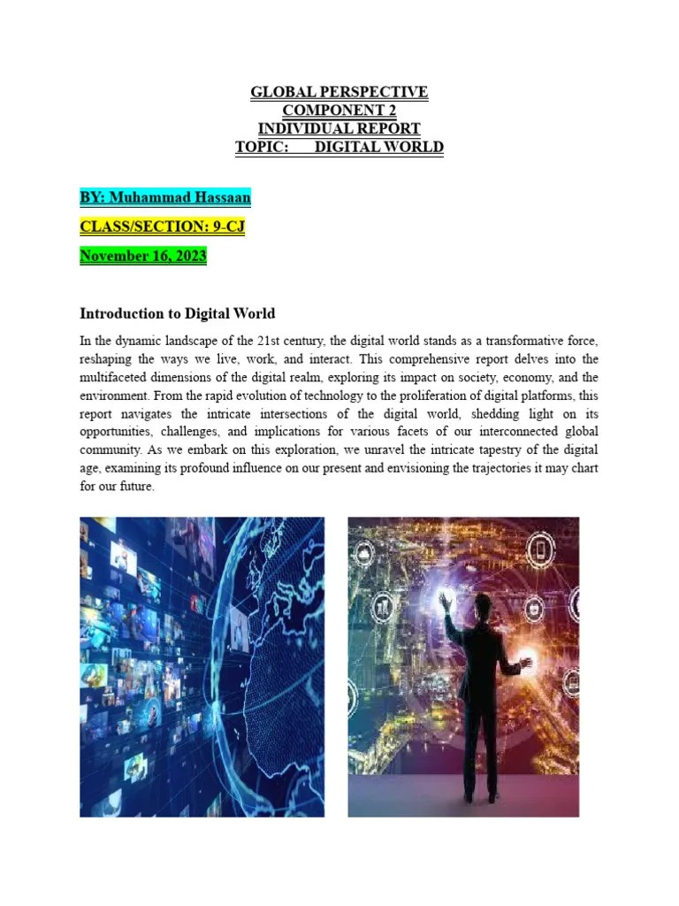 Final Report Global Perspective | PDF | Educational Technology | Social ...