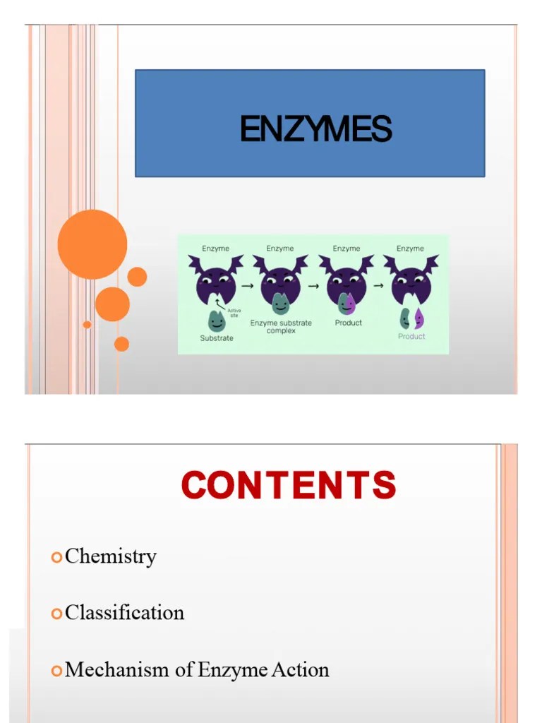 Enzymes PDF | PDF | Enzyme | Cofactor (Biochemistry)