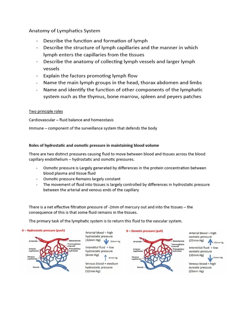 Anatomy Of Lymphatics System | PDF | Lymph Node | Lymphatic System
