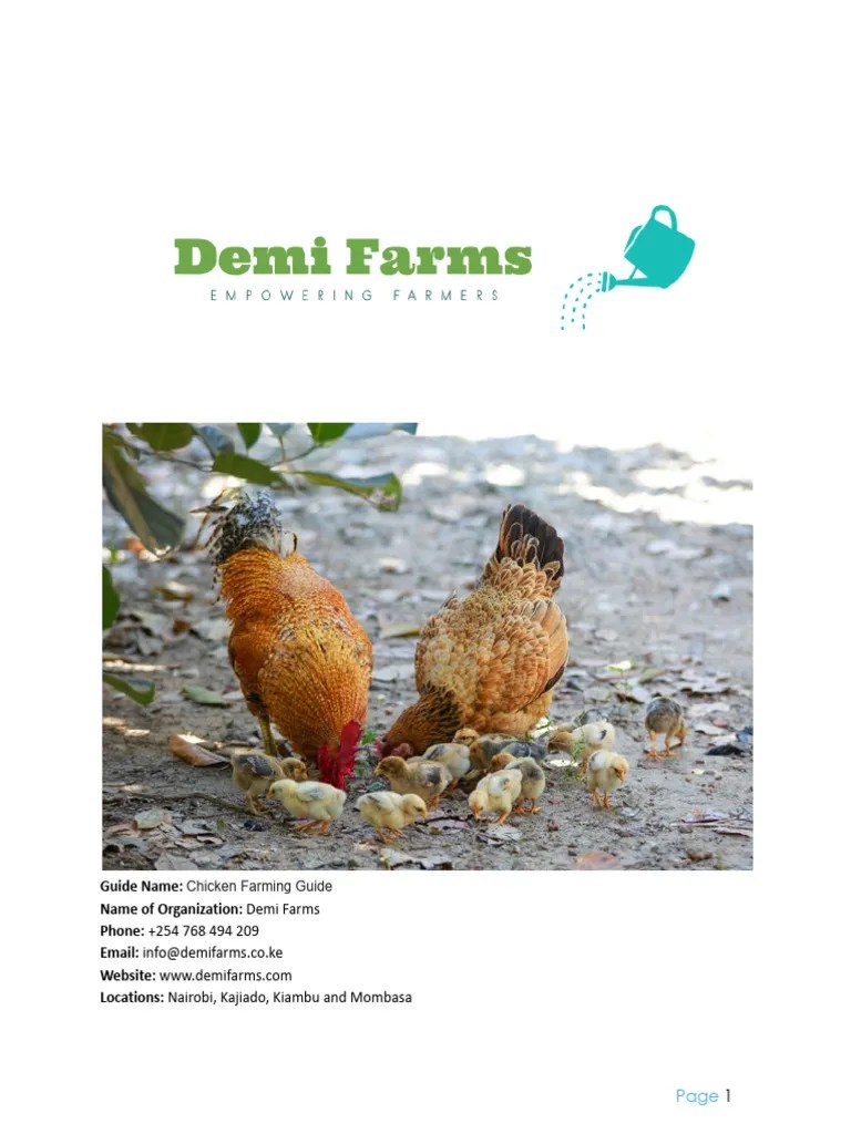 Chicken Farming Guide By Demi Farms Pdf Poultry Farming Chicken - Best Vintage Arts in High Resolution