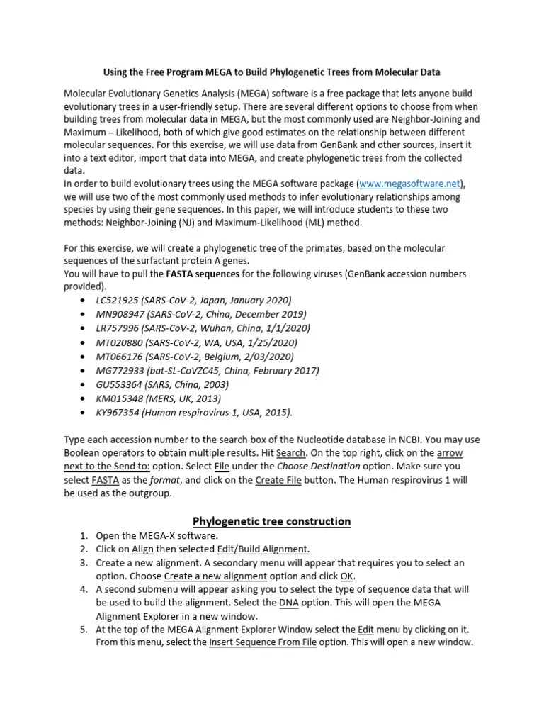 6.2 MEGA Workshop | PDF | Phylogenetic Tree | Molecular Phylogenetics