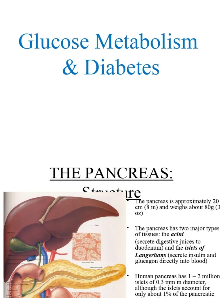 Diabetes Lecture Note-6th | PDF | Insulin | Pancreas