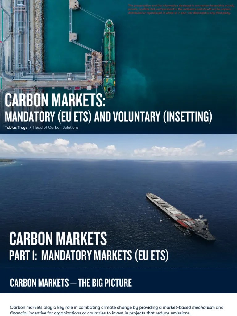 Mandatory And Voluntary Carbon Markets | PDF | Emissions Trading ...