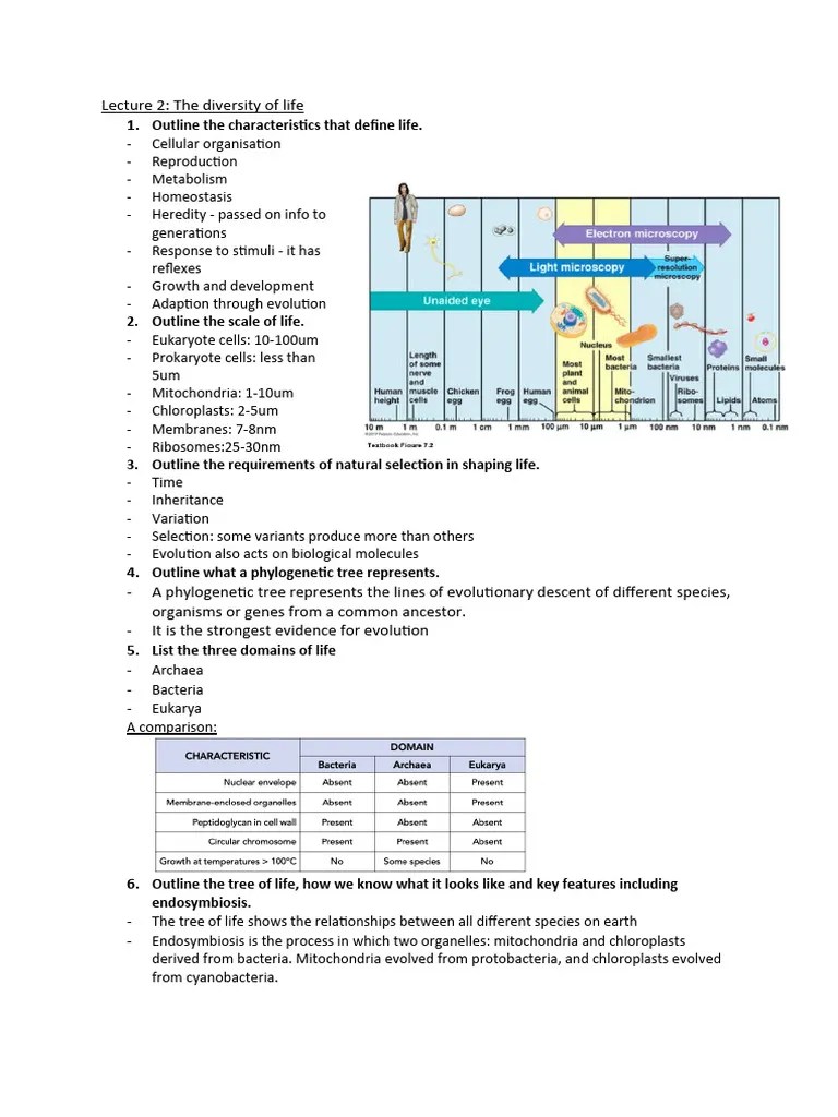 1 - Cell Structure And Diversity | Download Free PDF | Mitochondrion | Photosynthesis