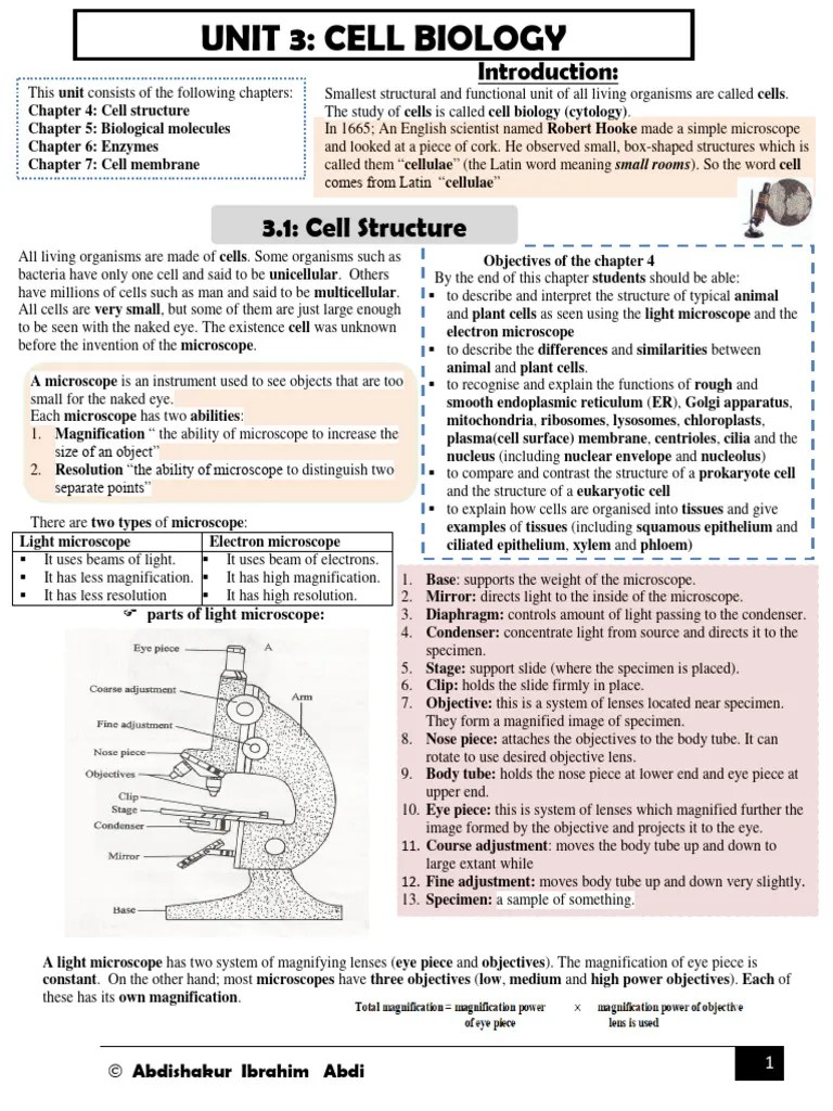 Unit 3 Cell Biology | PDF | Cell (Biology) | Endoplasmic Reticulum