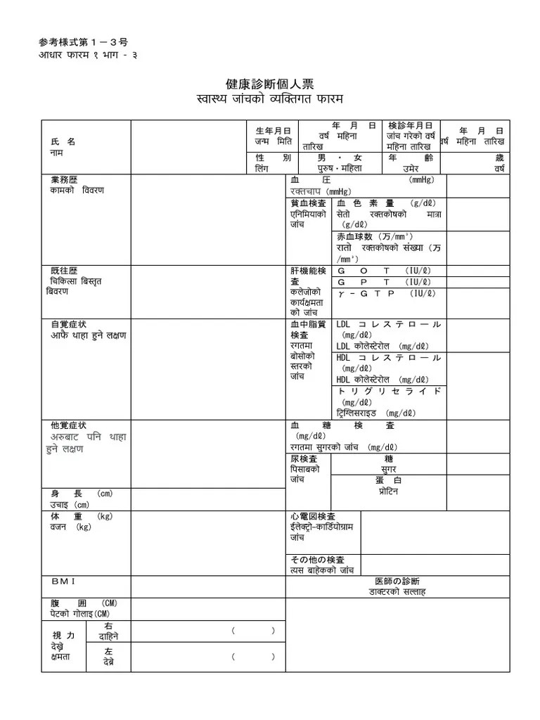 Japanese Language Skill | PDF