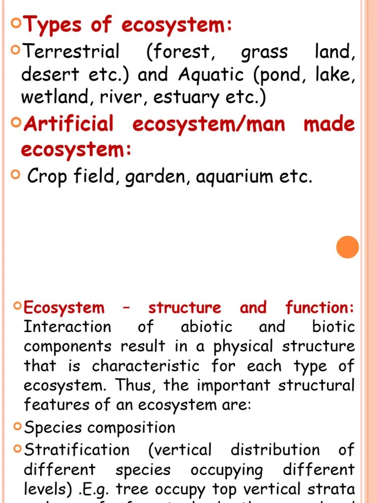 XII 14 Ecosystem | PDF | Ecosystem | Primary Production
