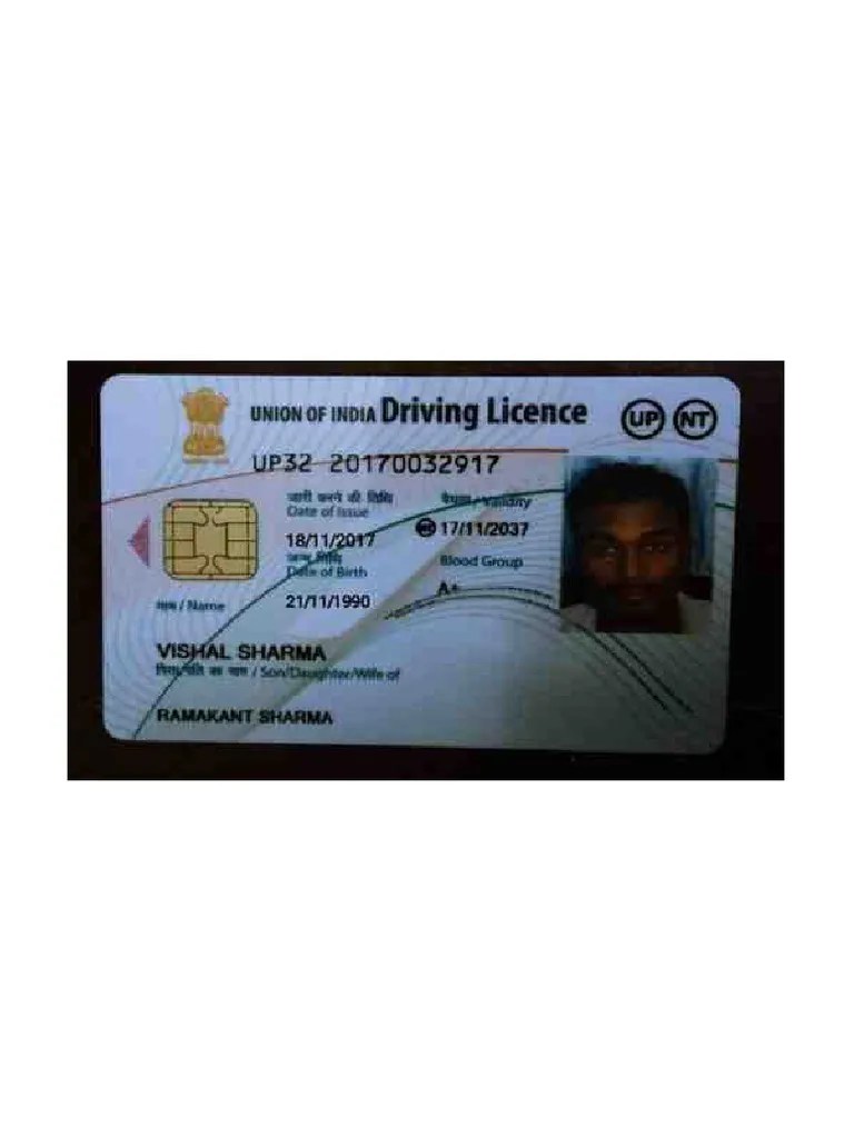 Driving Licence | PDF