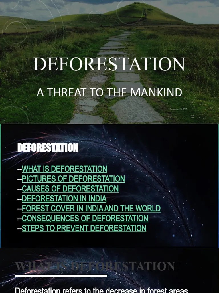 Deforestation | PDF | Deforestation | Forests