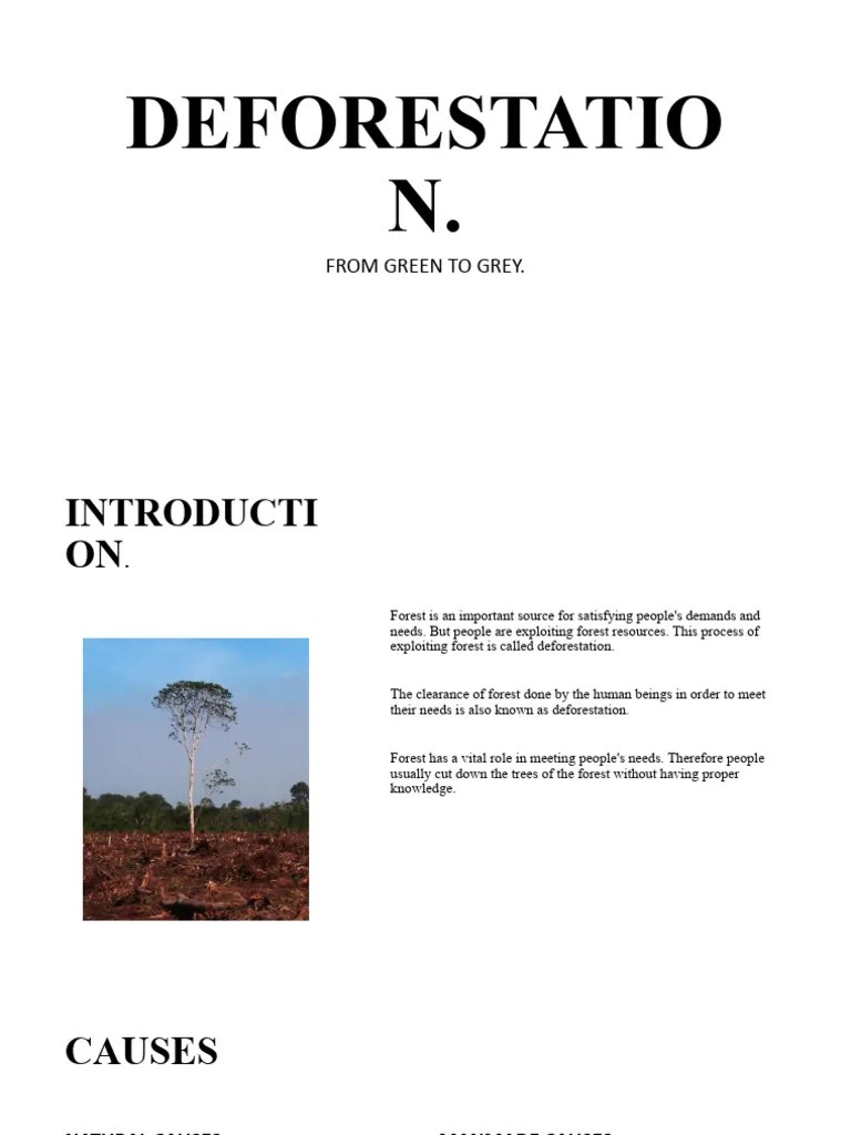 DEFORESTATION | PDF | Deforestation | Forests