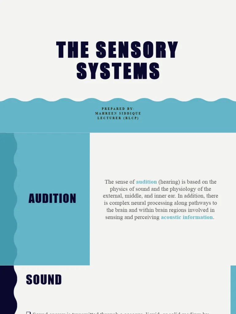 Share THE SENSORY SYSTEMS (Auditory Sense) | Download Free PDF | Ear ...
