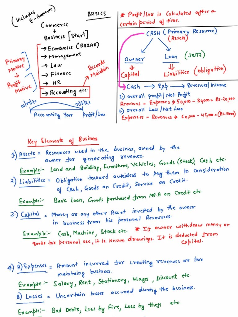 Basics And Accounting Equation | PDF