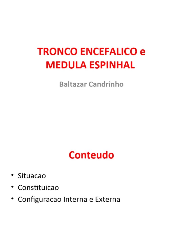 Tronco Encefalico | PDF