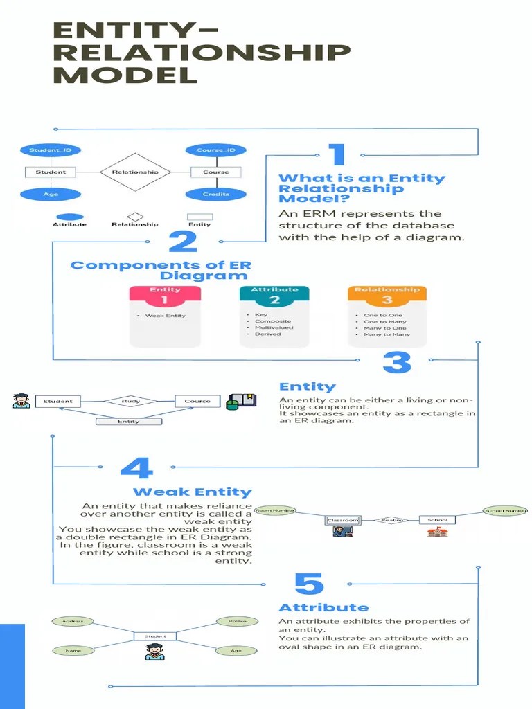 Entity Relationship Model | PDF | Information Retrieval | Databases