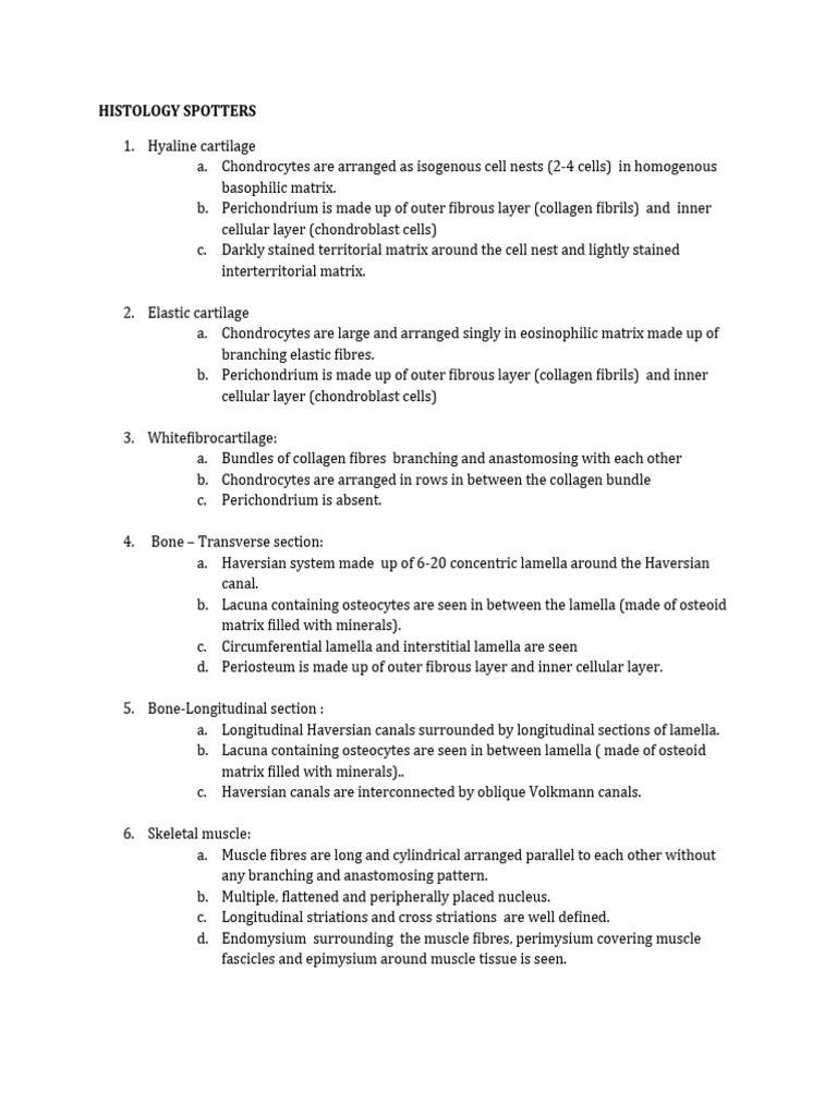 Histology Identification Points | PDF