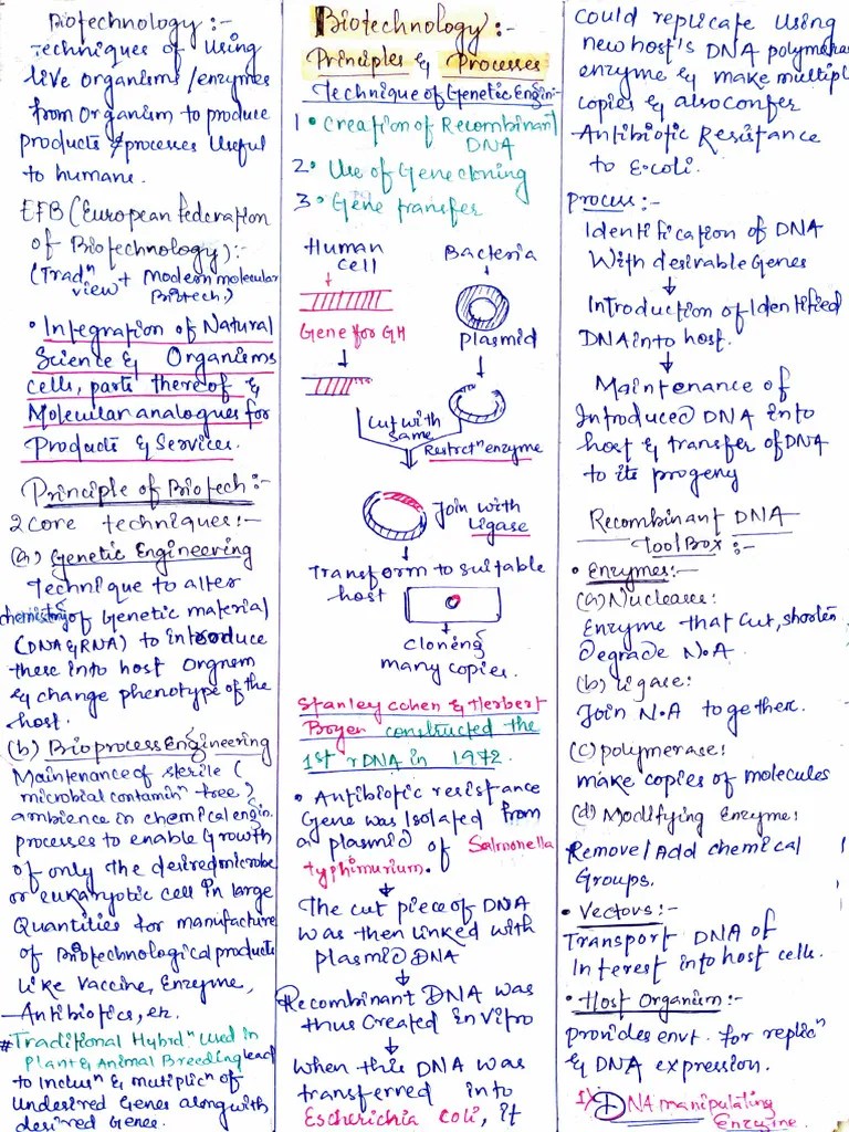 Biotechnology-Principles And Processes Class 12 Notes PDF | PDF