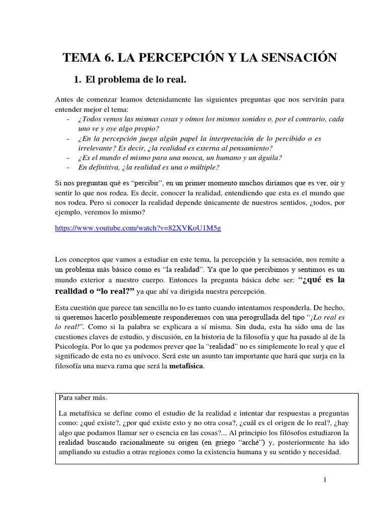 LA PERCEPCION Y SENSACION | PDF | Percepción | Percepción Visual