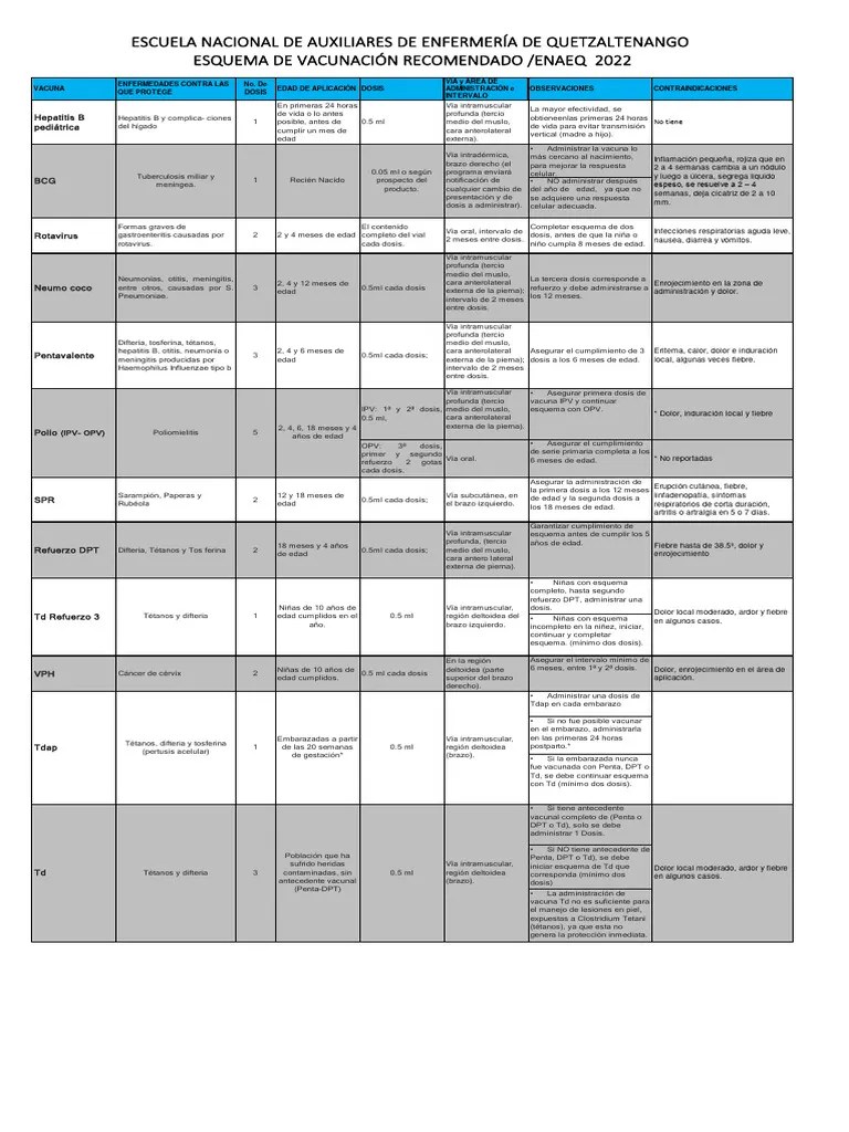 Esquema De Vacunacion | PDF