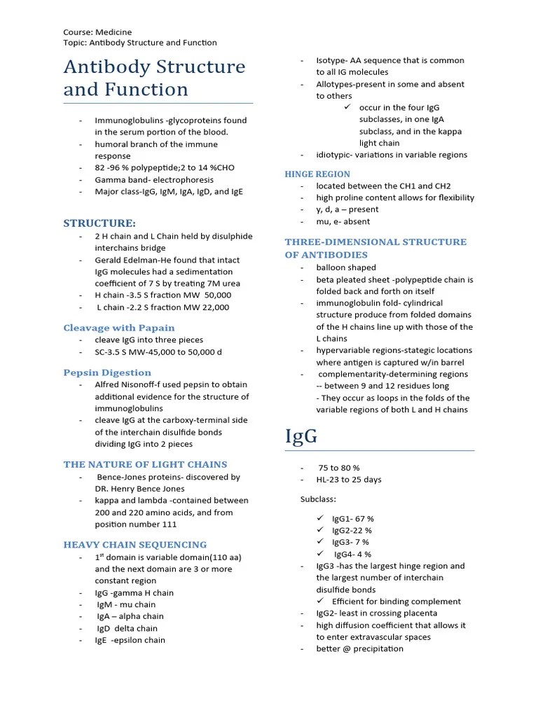 Antibody Structure And Function | PDF | Antibody | Immunoglobulin G