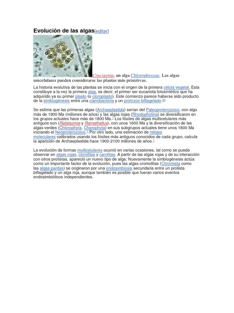 Evolución De Las Algas | PDF