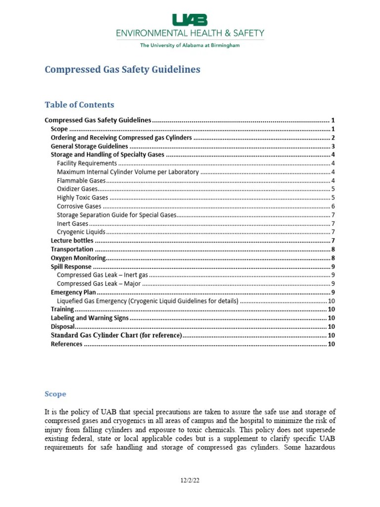 Use Storage Compressed Gas Cylinders | PDF