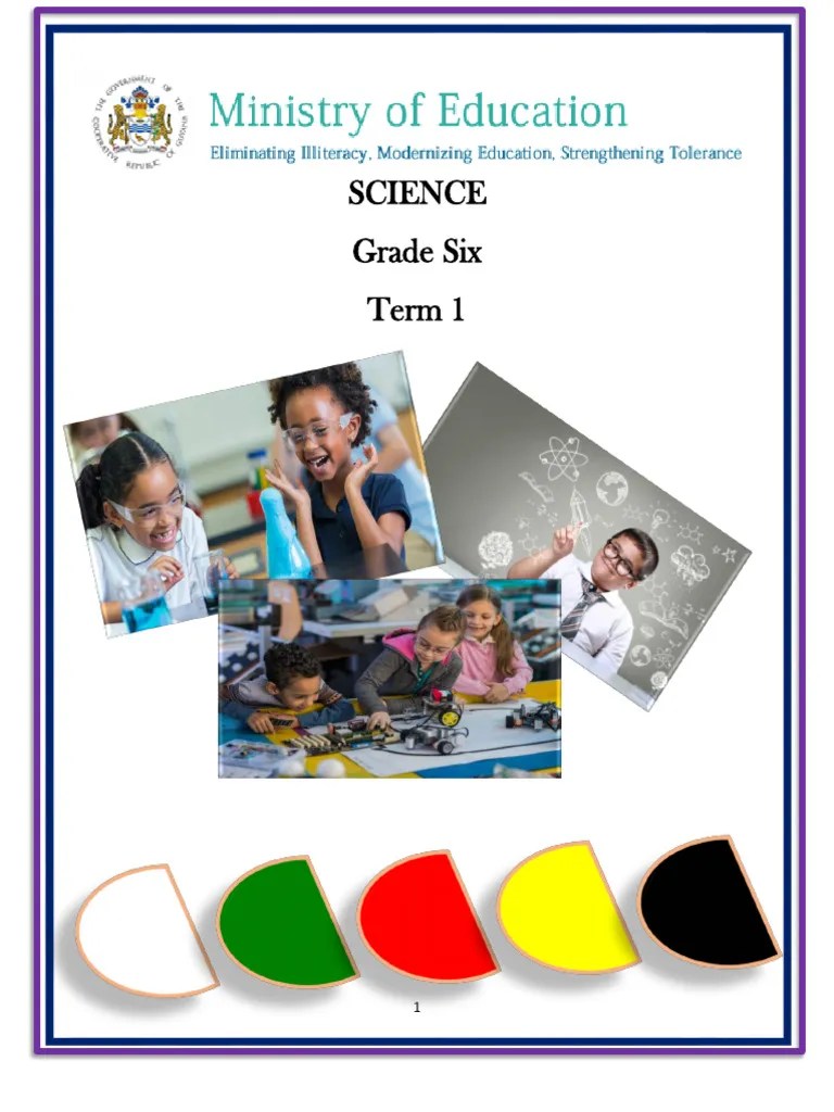 Grade 6 Science Term 1 | PDF