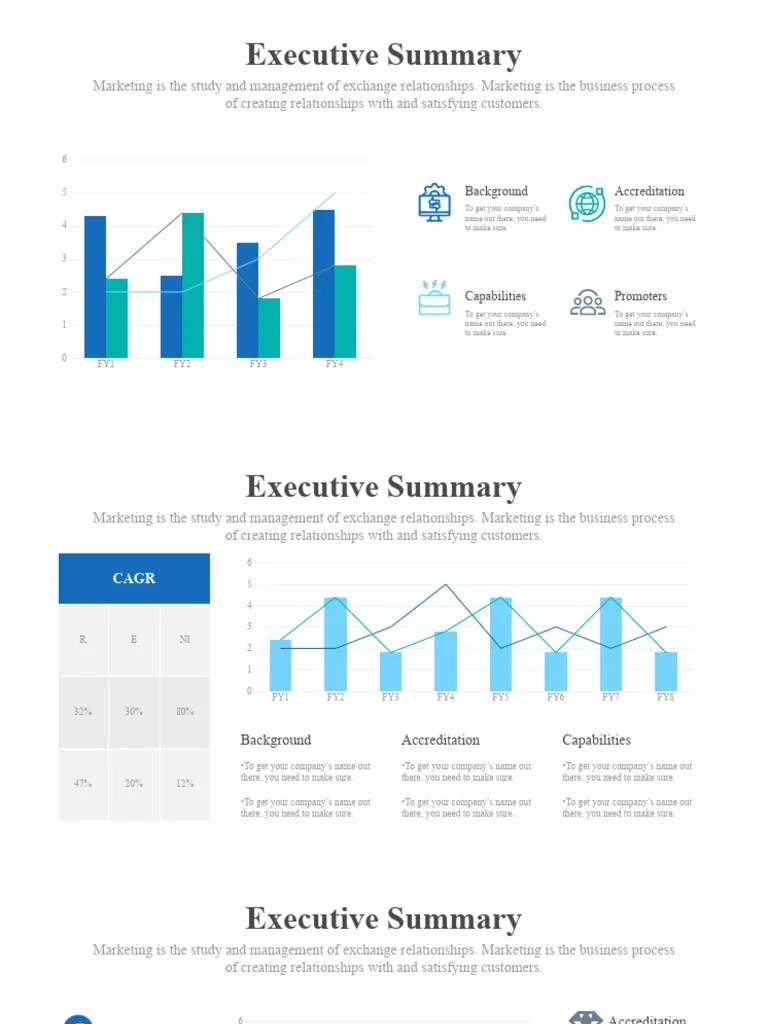 Executive Summary Infographics | PDF