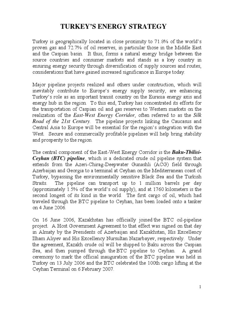 Turkeys Energy Strategy En | PDF | Turkey | Renewable Energy