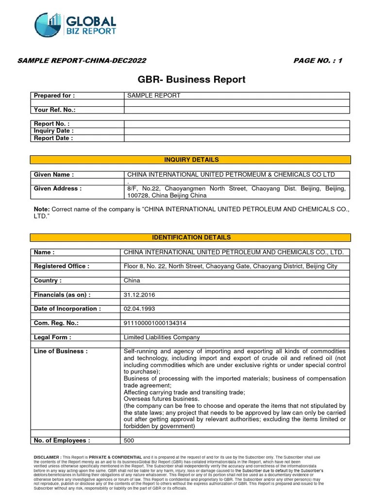 Sample Credit Report | PDF | Exchange Rate | Renminbi