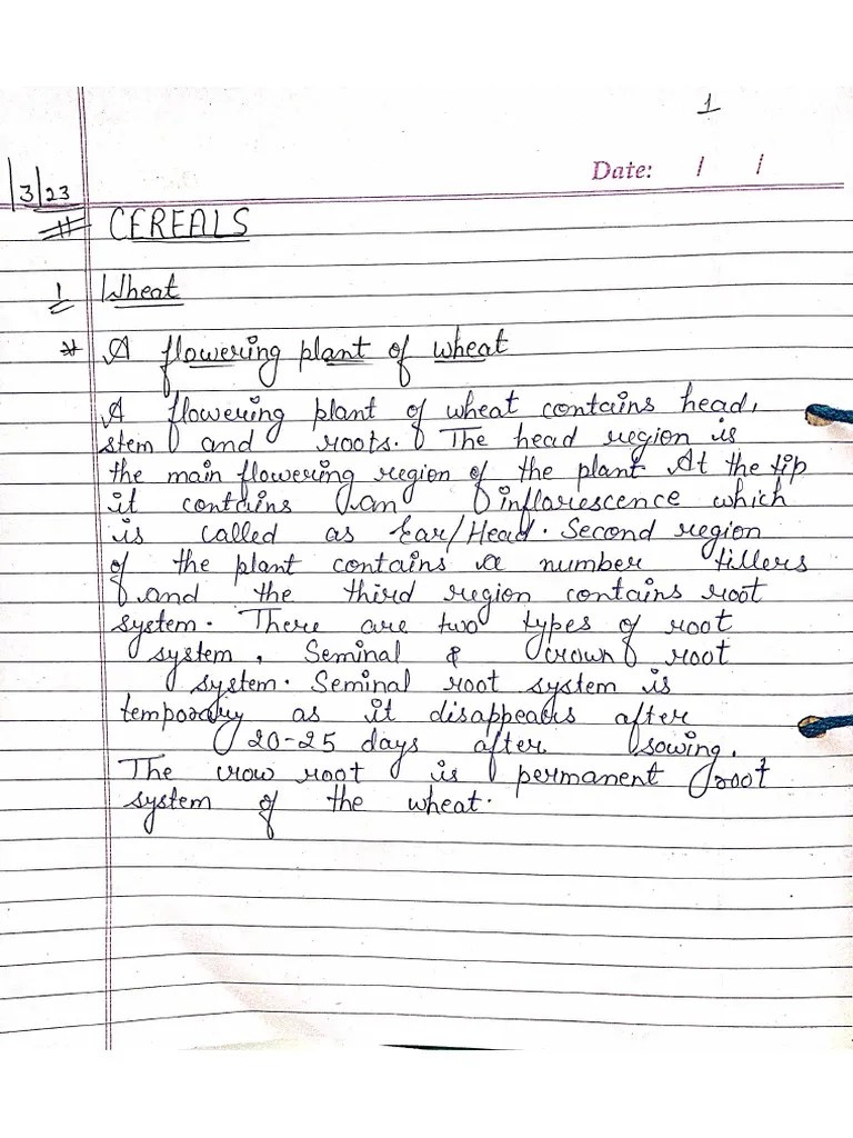 Botany File 4th Sem | PDF