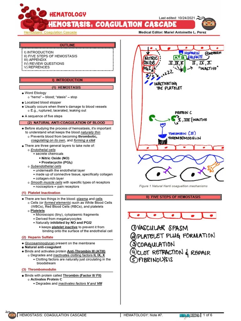 347 - Hematology Physiology) Hemostasis Coagulation Cascade | PDF ...