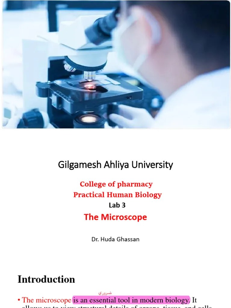 Lab 3 The Microscope | PDF | Microscope | Tools
