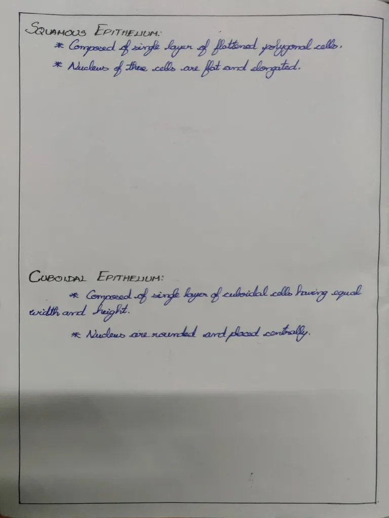 Identification Points Histology | PDF