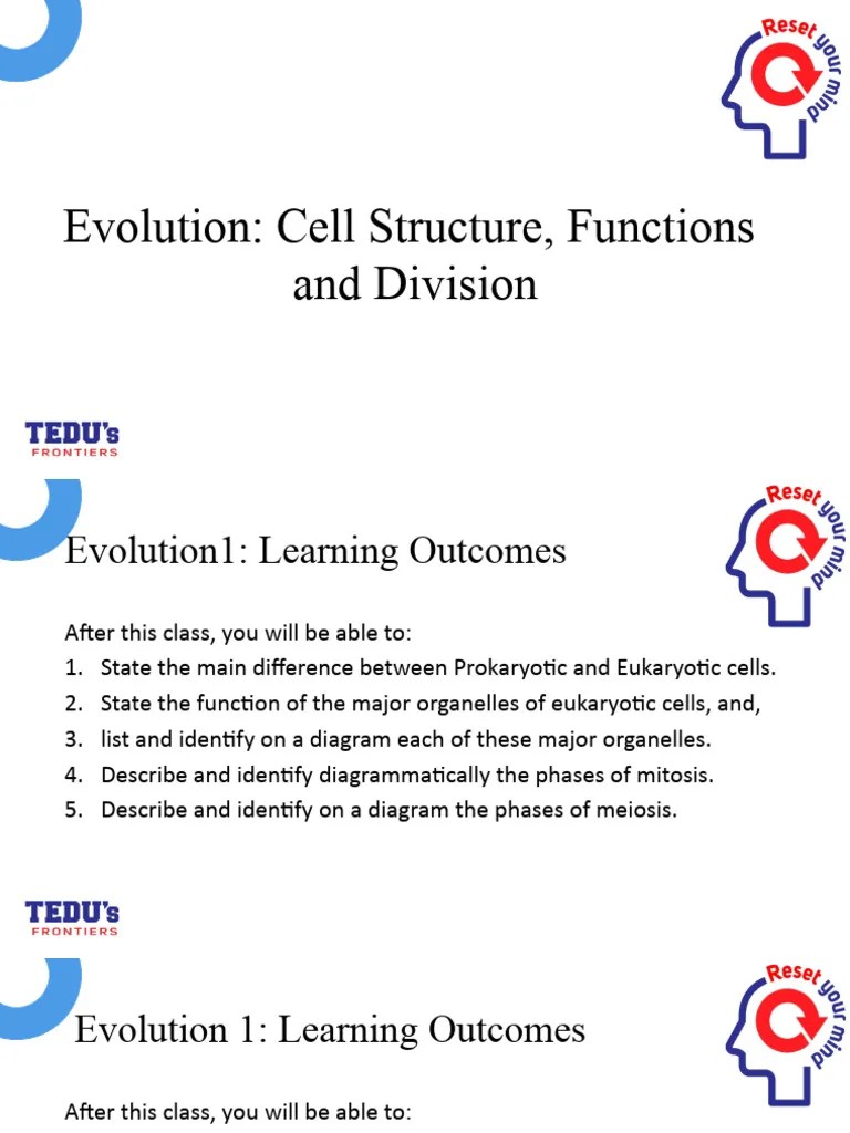 Lecture Week 11 - Cell And The DNA | PDF | Ribosome | Rna