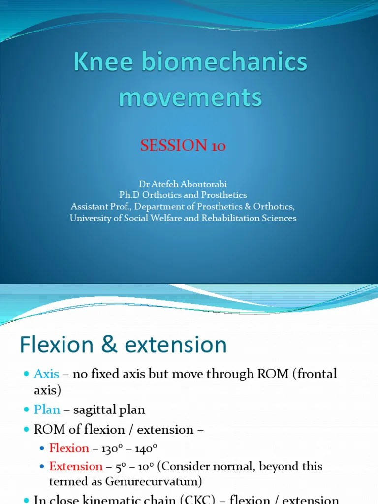 Session10 - Knee Movements | PDF | Knee | Anatomical Terms Of Motion