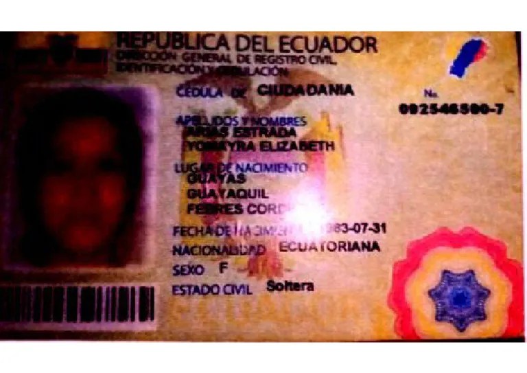 Documento 2024 | PDF