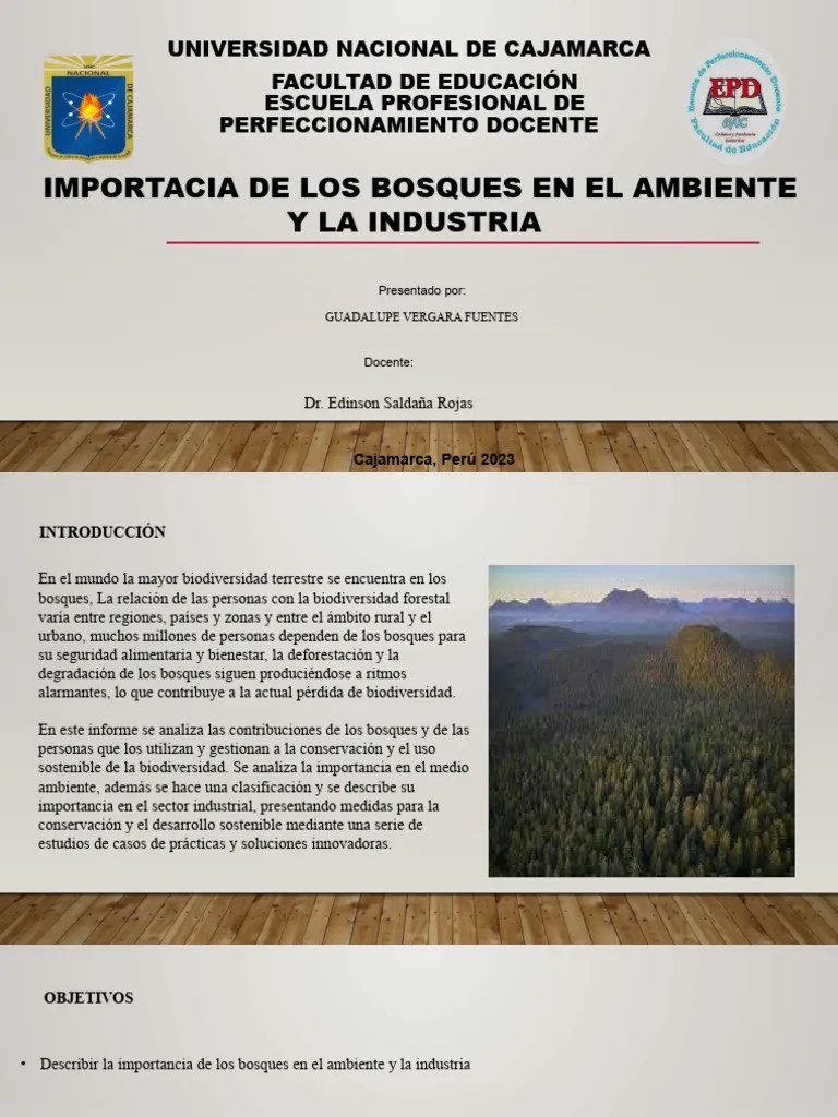 Importancia De Los Bosques En El Ambiente Y La Industria | PDF | Los Bosques | Deforestación