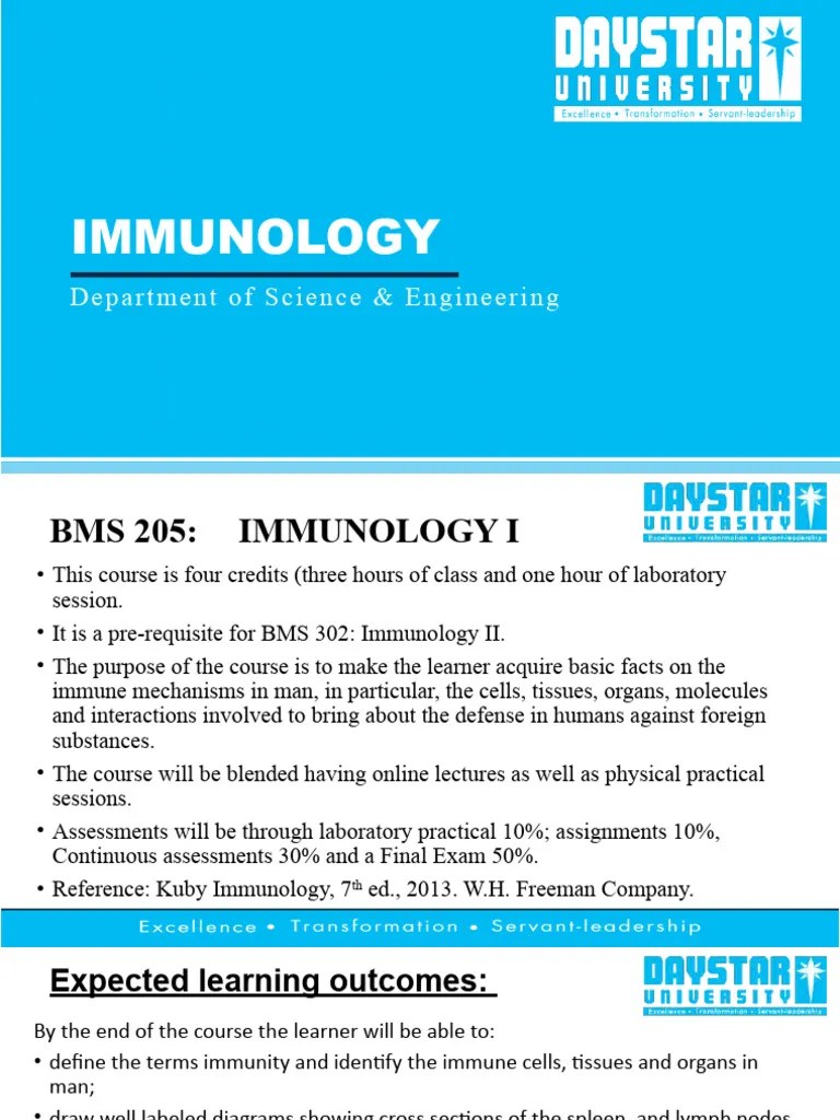 Immune Organs | PDF | Lymphatic System | Lymphocyte