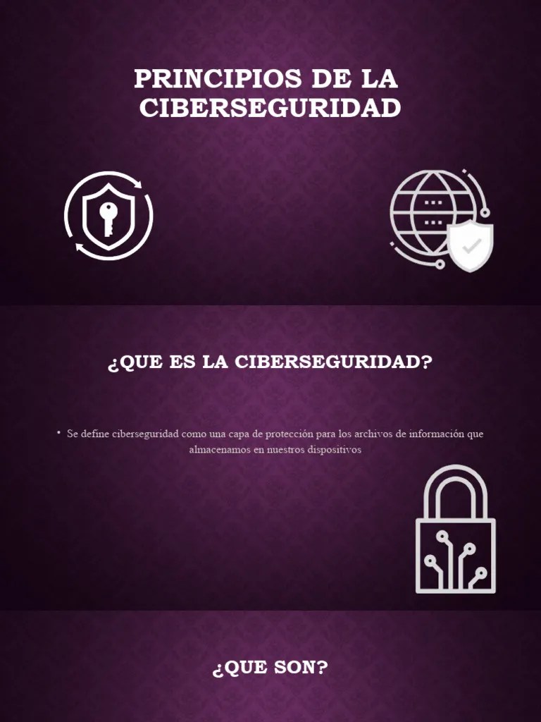 Principios De Ciberseguridad | PDF