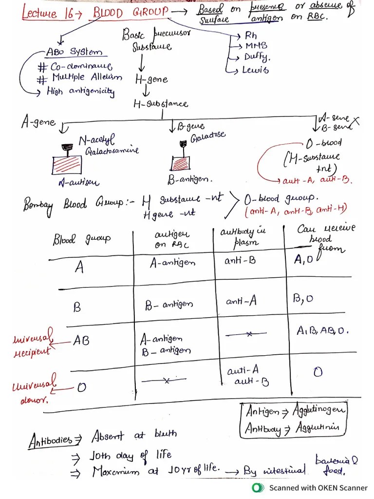 Blood Group - ABO And RH, Erythroblastosis Foetalis | PDF