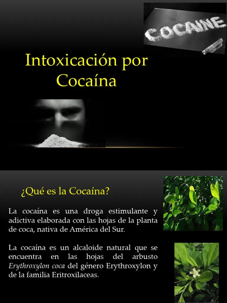Cocaina | PDF | Cocaína | Crack De Cocaína