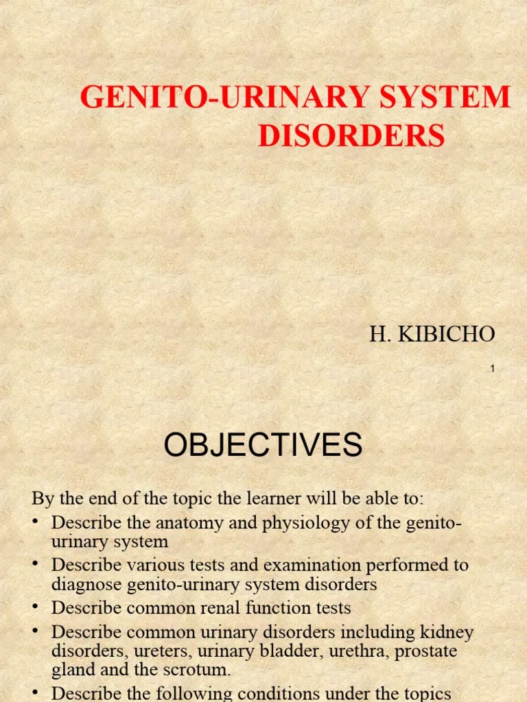 Genitourinary System Disorders Proper-1 | PDF