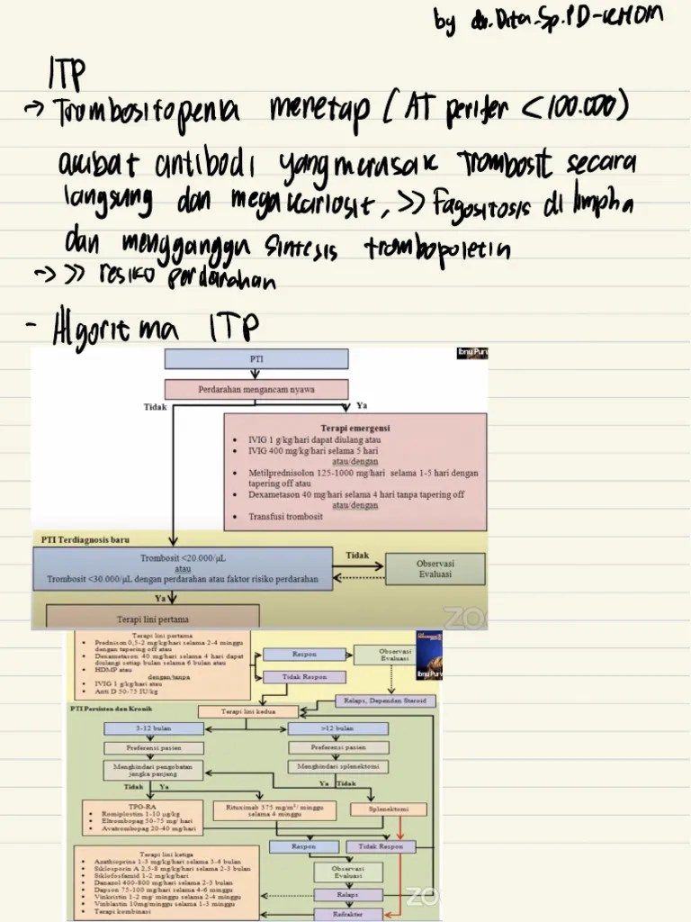 Catatan ITP Dan AA | PDF | Anatomy | Immunology