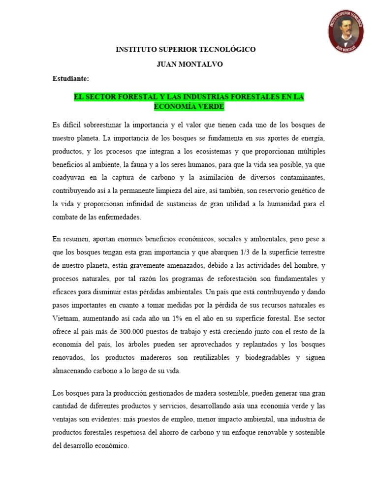 El Sector Forestal Y Las Industrias Forestales En La Economía Verde | PDF | Los Bosques ...