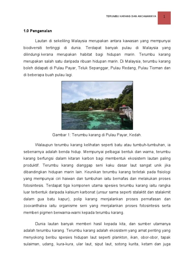 Kehadiran spesies berasal dari sungai mekong di vietnam itu mendominasi habitat di sungai tersebut yang menjadi … Esemen As Pdf