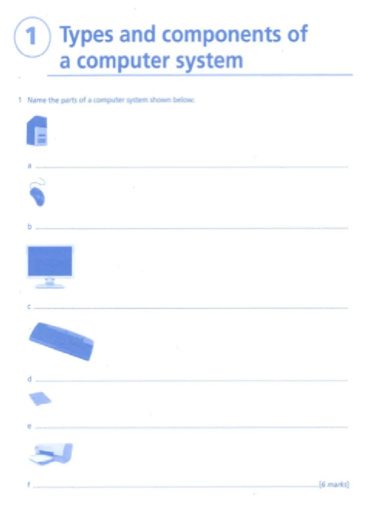 IGCSE ICT Unit 1 Questions | PDF