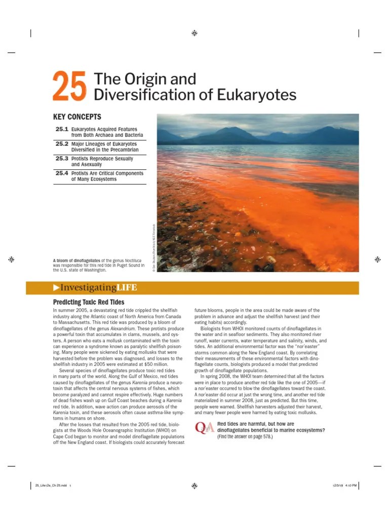 Ch25-Life The Science Of Biology 12th Ed 2020 | PDF | Eukaryotes | Cell (Biology)
