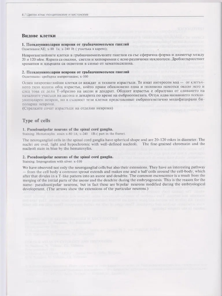 Cytology Atlas | PDF